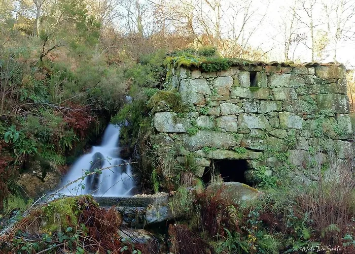 Casa Do Tapadinho Ribeira de Pena