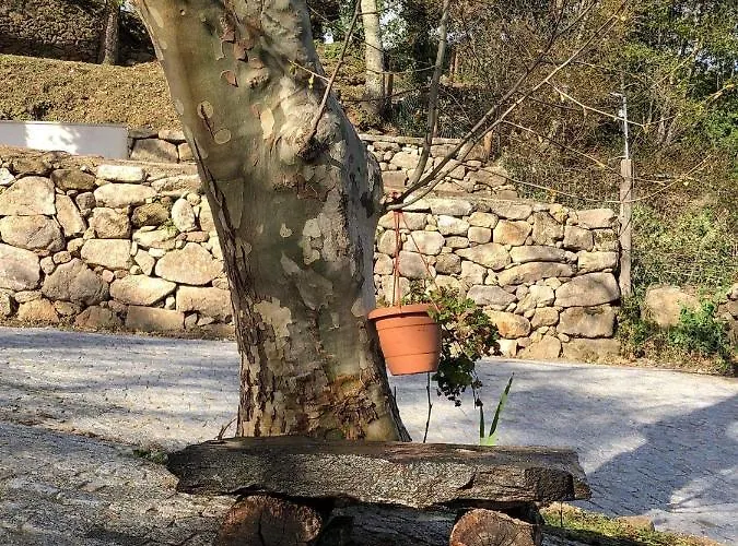 Casa Do Tapadinho * Ribeira de Pena